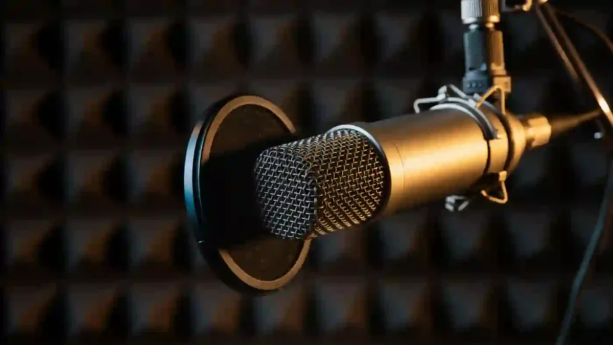 Professional studio microphone in a recording booth