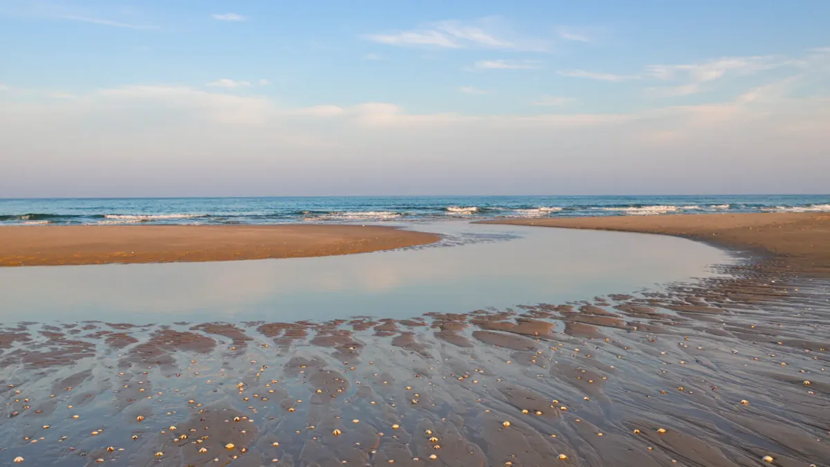 Tides and Beach Days: How the Tide Table Changes Your Beach Plan, Hour by Hour