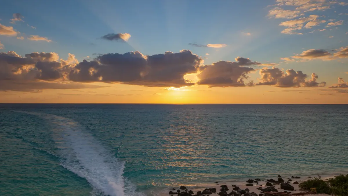 The Long Crossing: Caribbean Queer Migration to South Florida