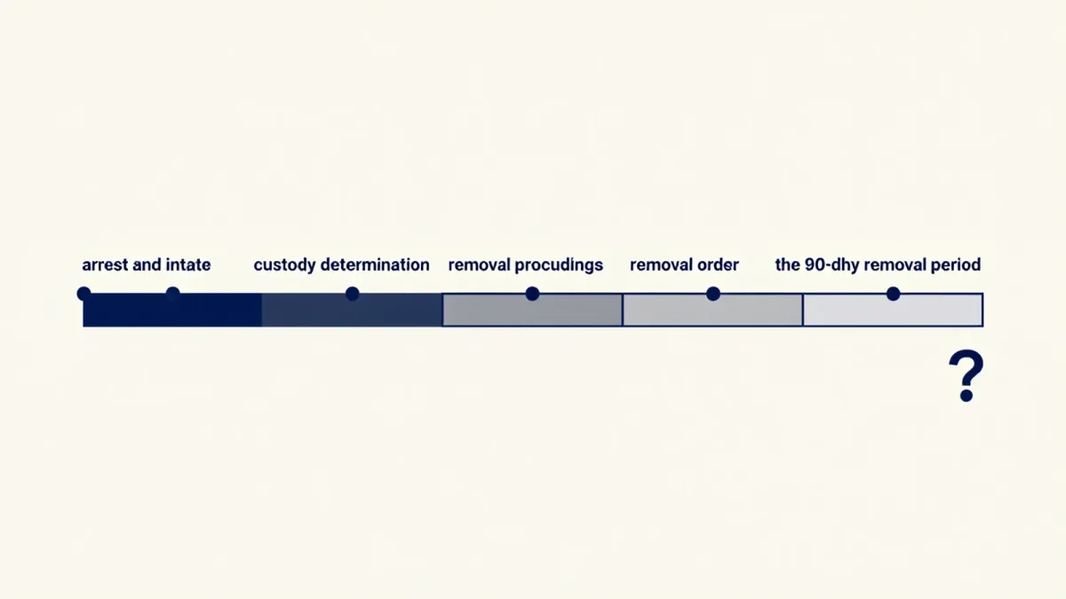 Due Process in Immigration Detention: The Time Limits and Safeguards That Apply