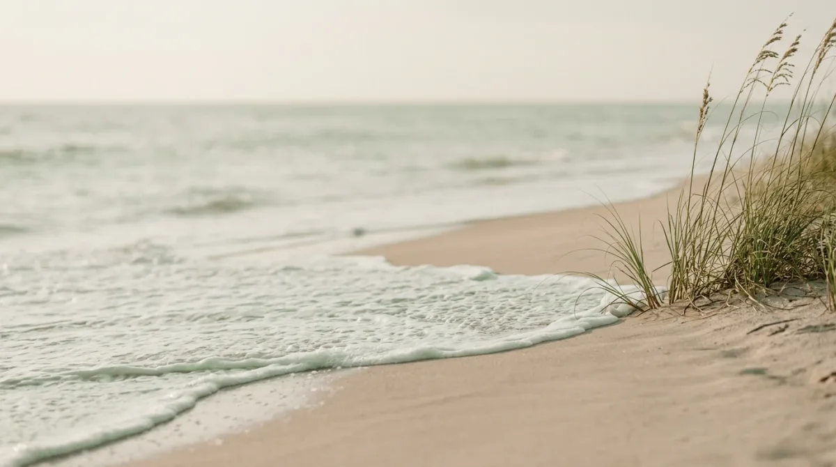 Seafoam washing over warm sand at morning