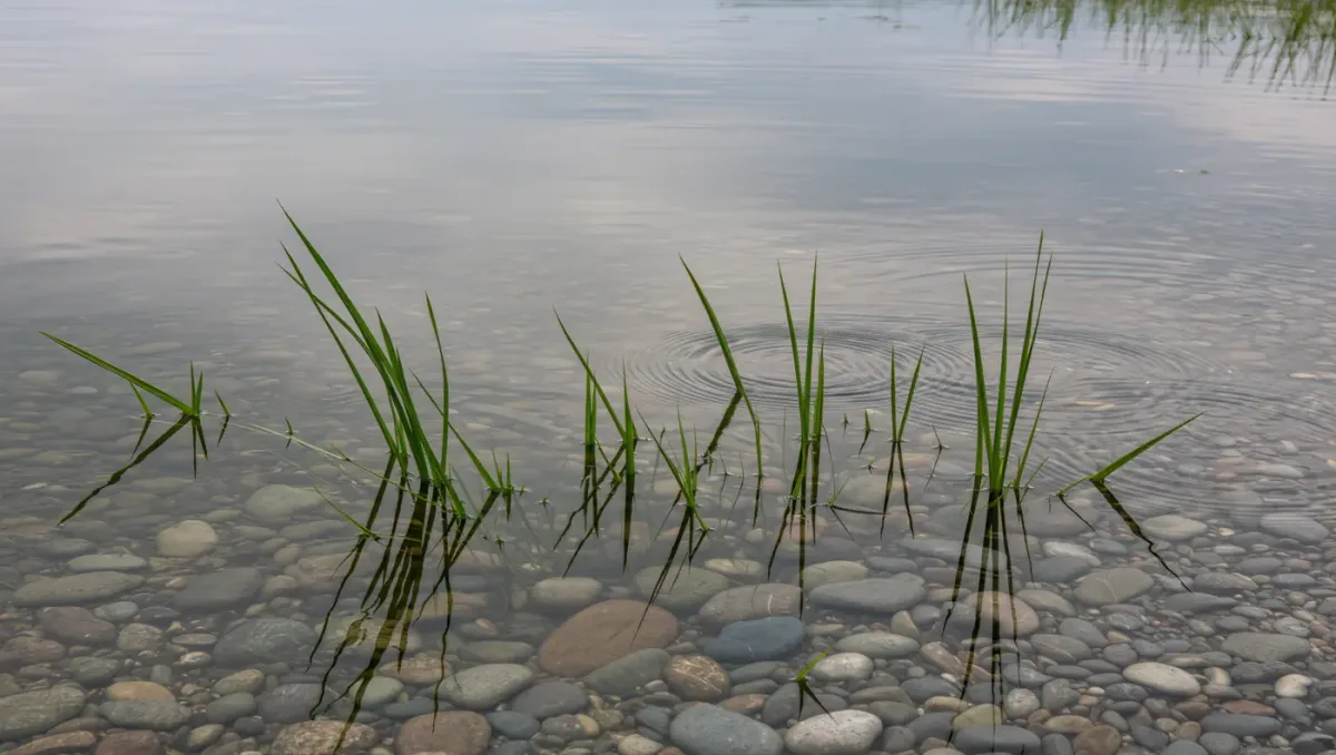 New York DEC rolls out a five-year Hudson River Estuary plan with Rockland shoreline implications