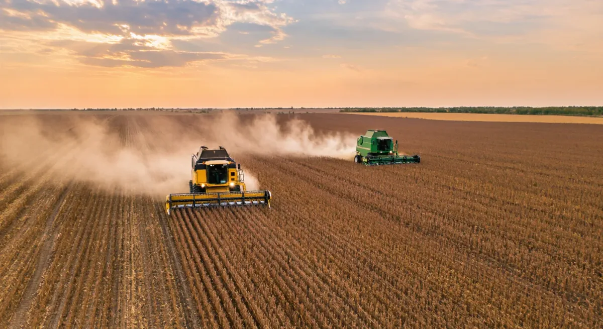 Combine harvesters working a soy field at dusk