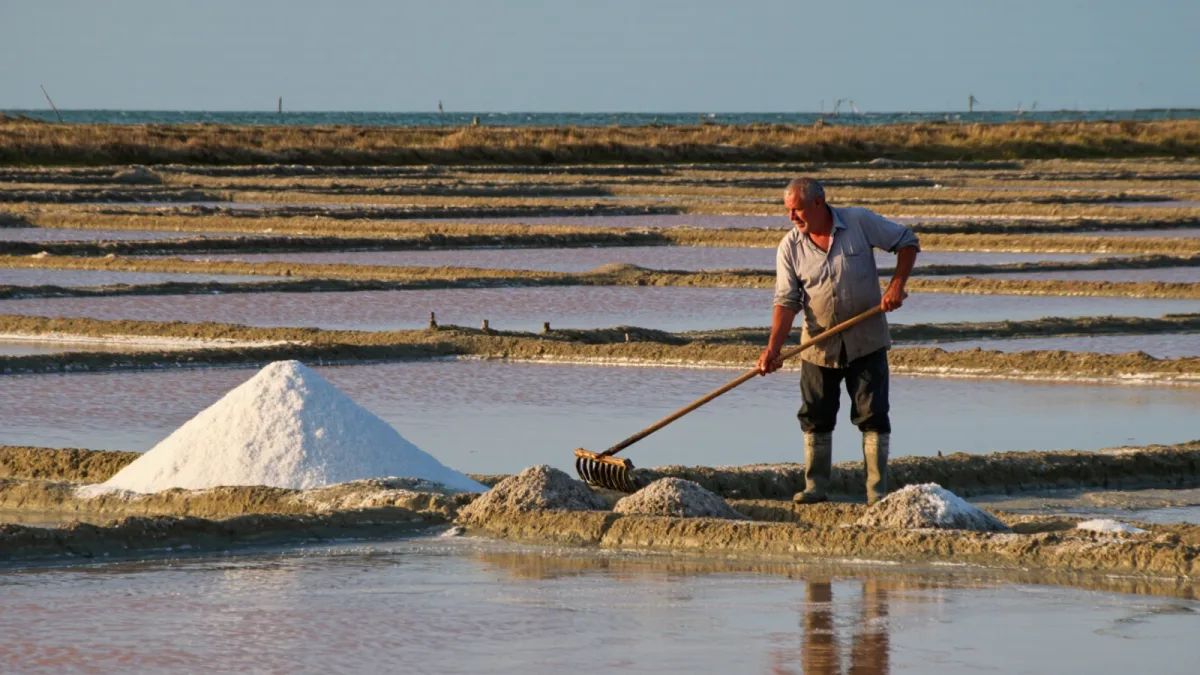The salt fields of Guerande are still worked by hand