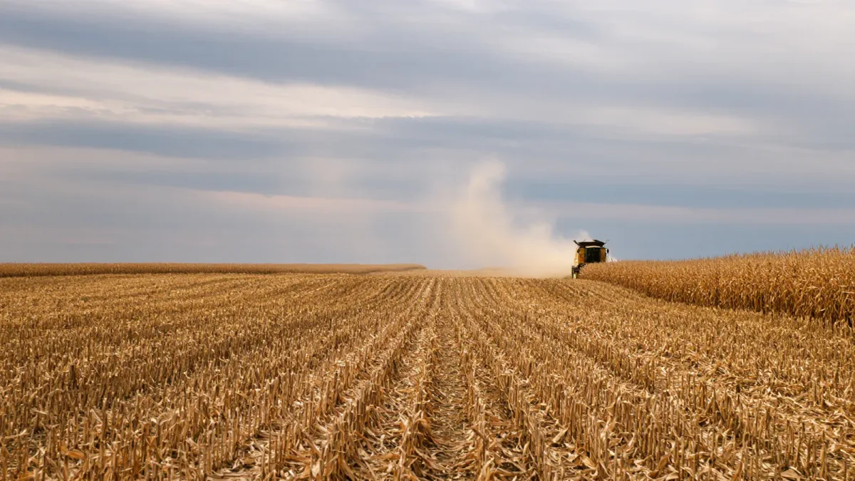 How Farm Bill Subsidies Are Structured