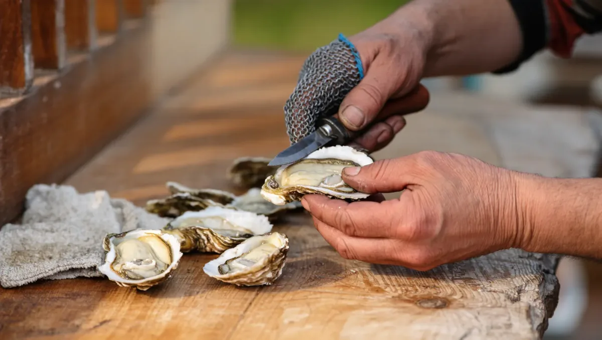 Galway Oyster Festival 2026: The World's Longest-Running Oyster Party Returns Sept 25–27