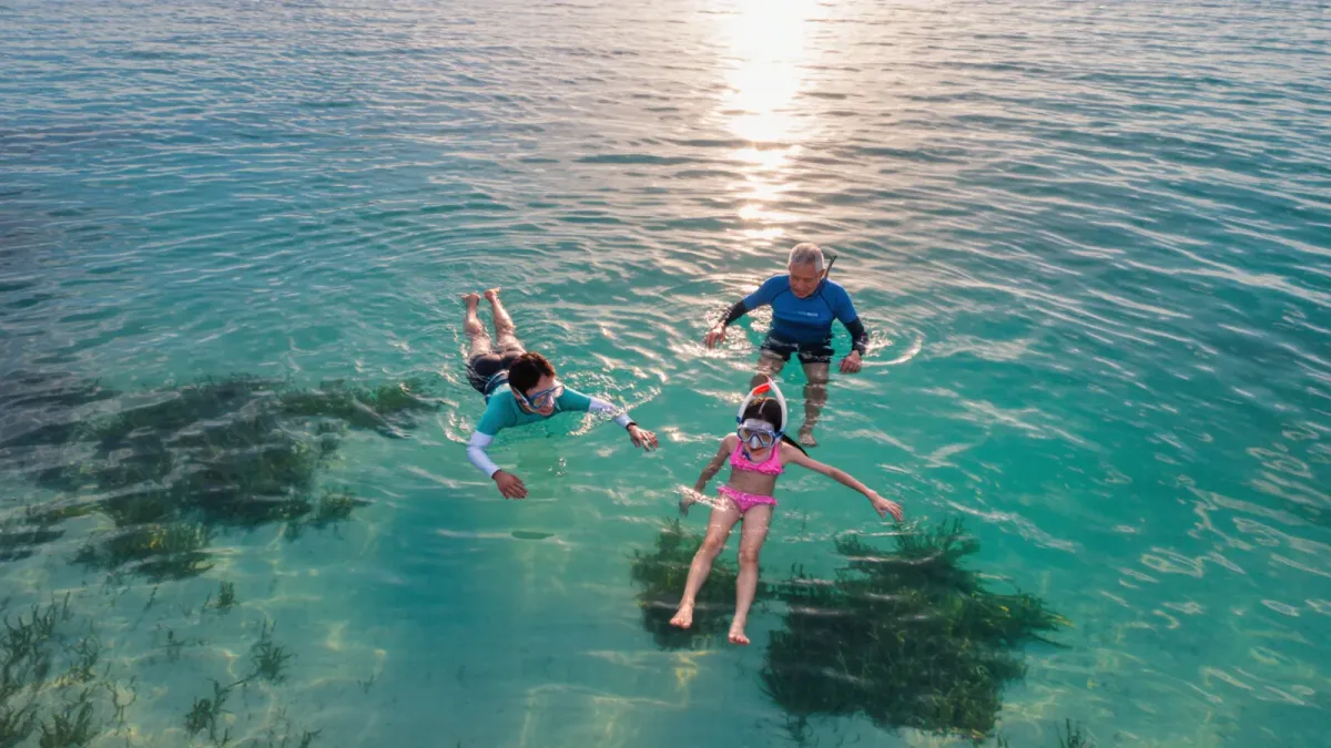 Where to Snorkel the Florida Keys: Six Reef Spots, Ranked by Access and Ease