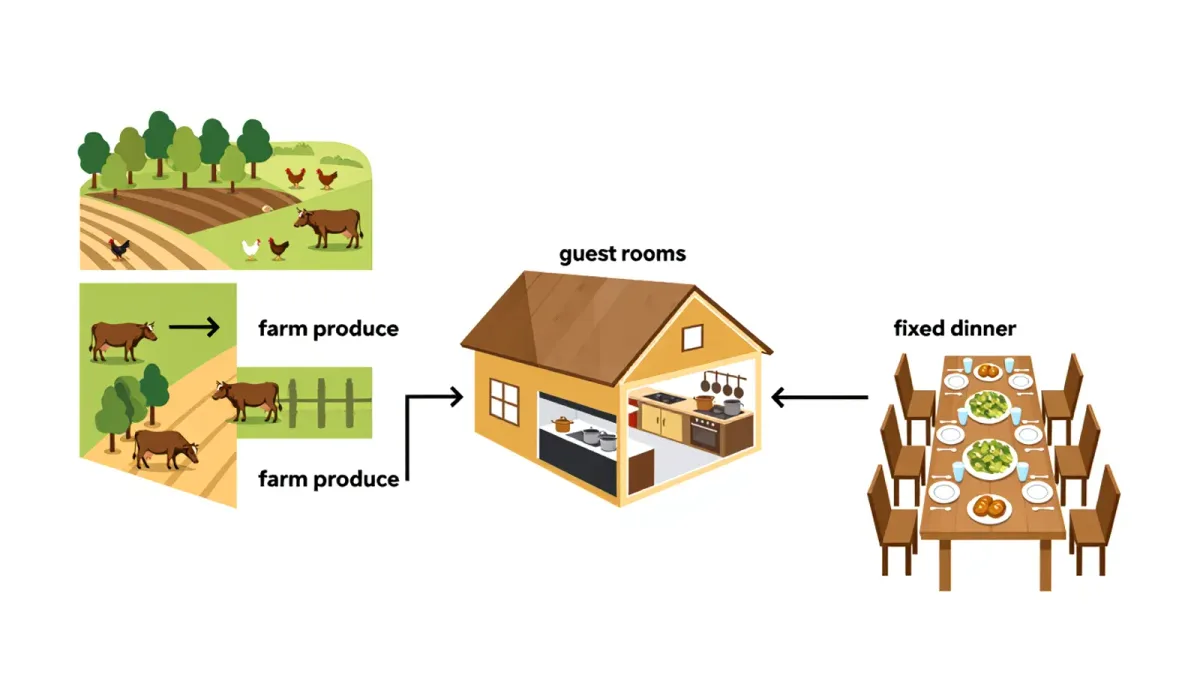 Sleep Where the Meal Begins: A Guide to Agriturismo Farm Stays