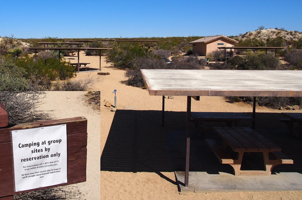 Best Campgrounds for Stargazing in Dark Sky Parks: How to Pick a Site and Time the Moon