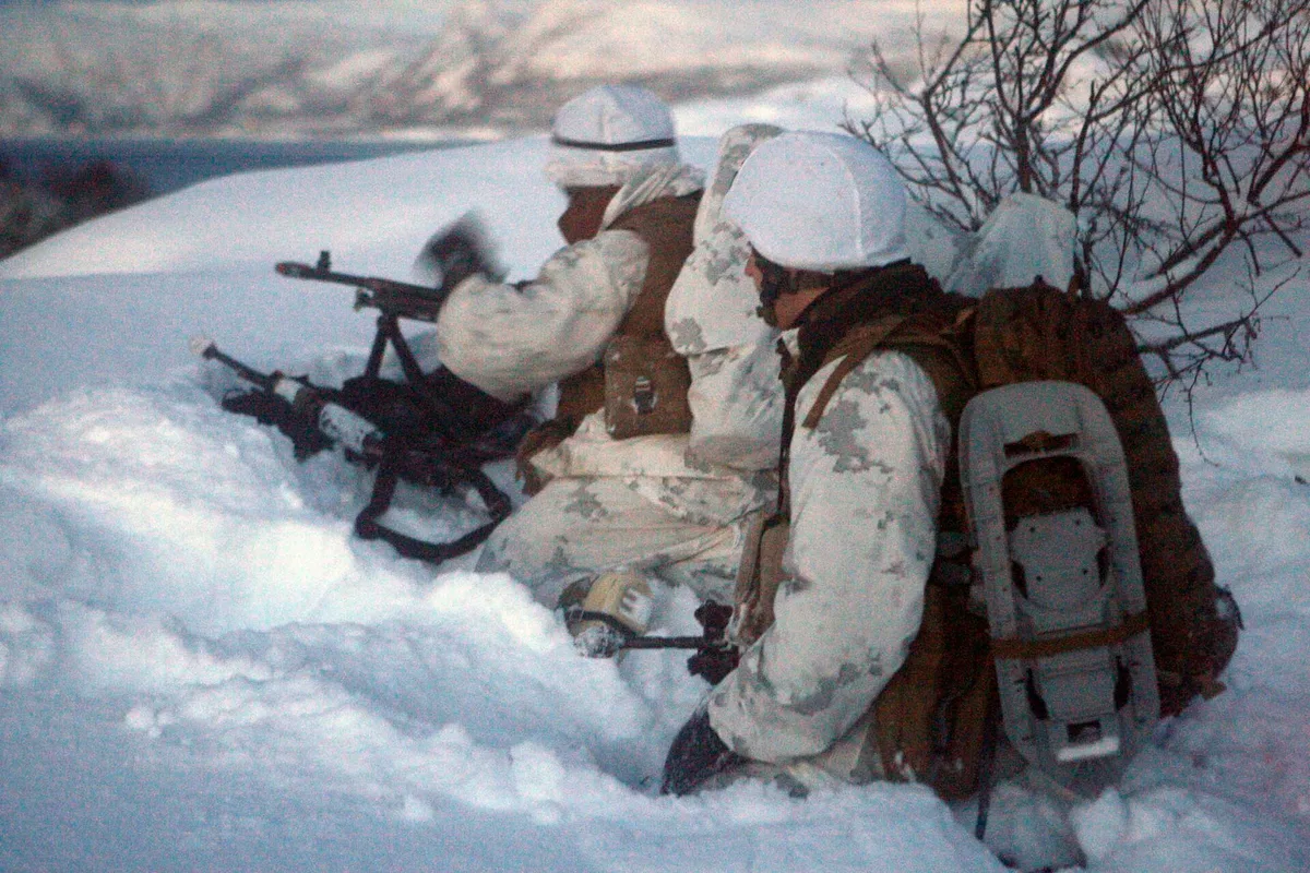 How Militaries Train for Arctic and Cold-Weather Ops