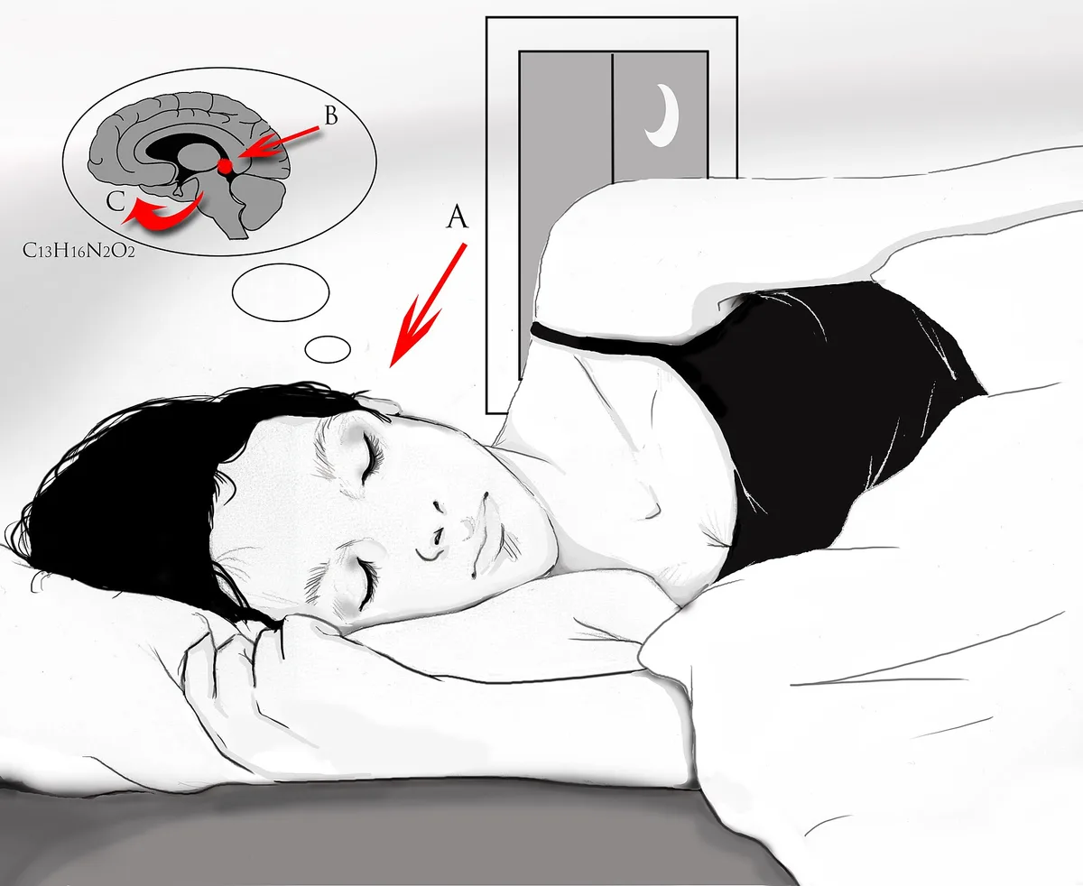 Melatonin Supplements: What the Evidence Says About Dose, Timing, and Safety