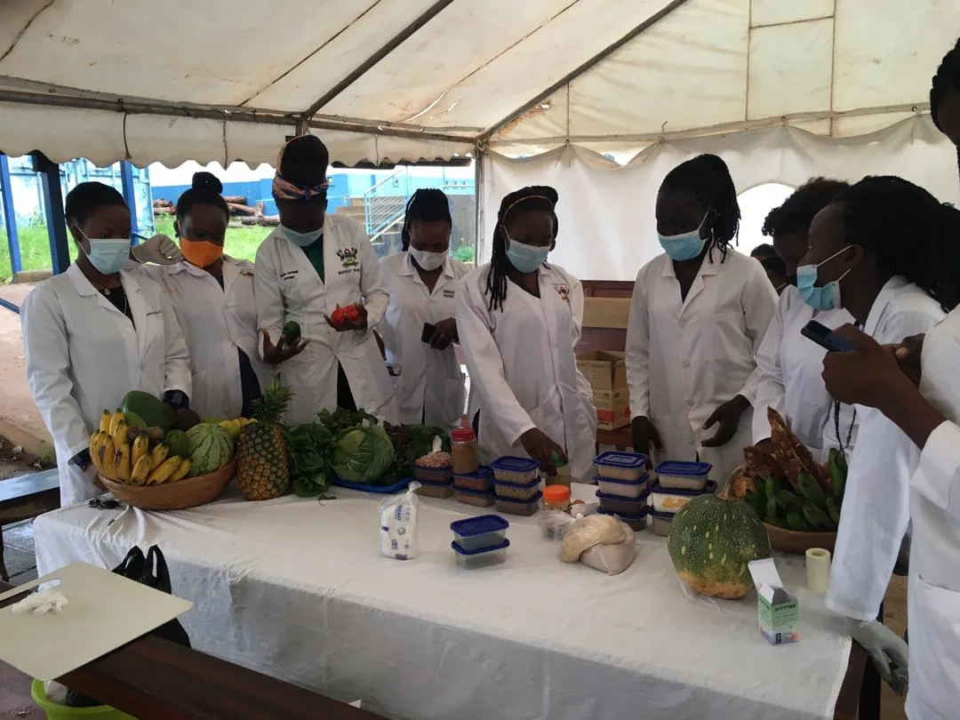 Becoming a nutritionist: training, licensing, and what the title really means