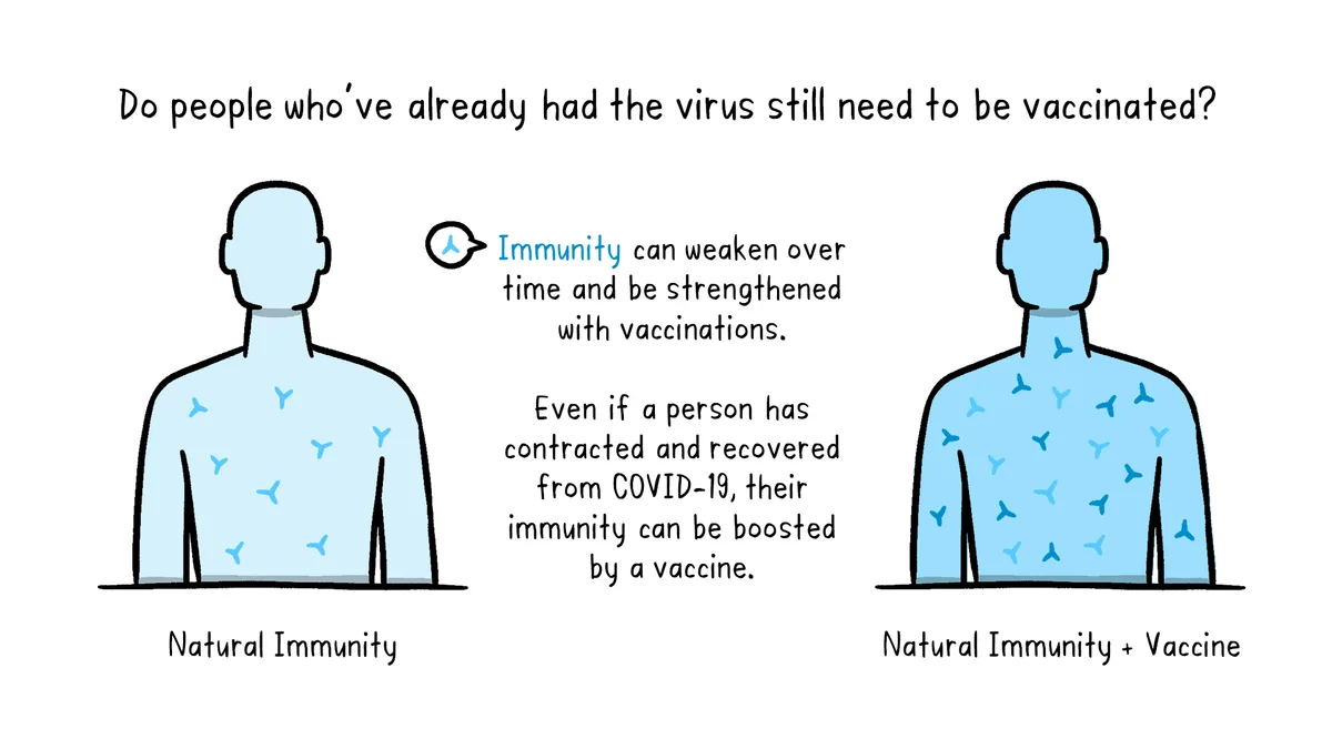 Vaccine News Explained: How to Read Safety and Efficacy Reporting