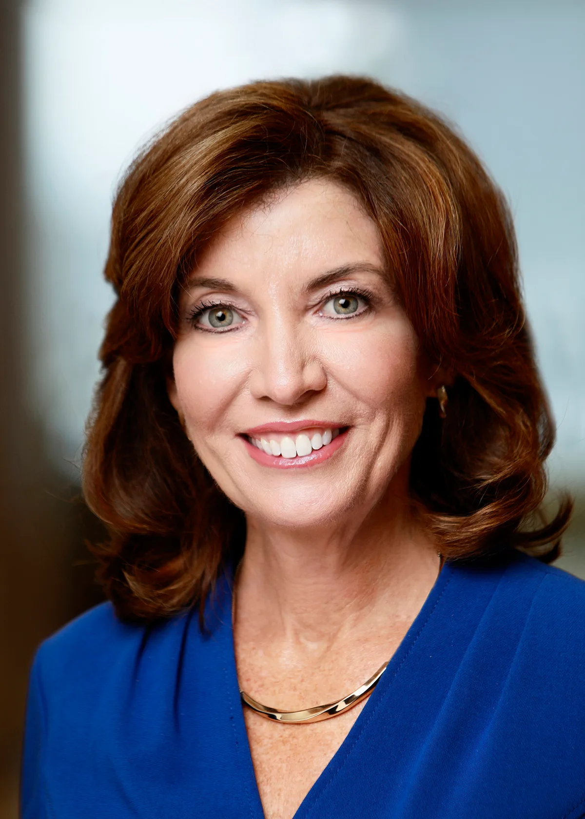 Hochul Signs Rebate Law to Swap Gas Lawn Gear for Electric