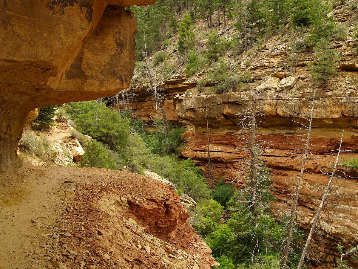 Spring Hiking Trails: Where to Go Early, and How to Walk Mud Season Without Wrecking a Trail