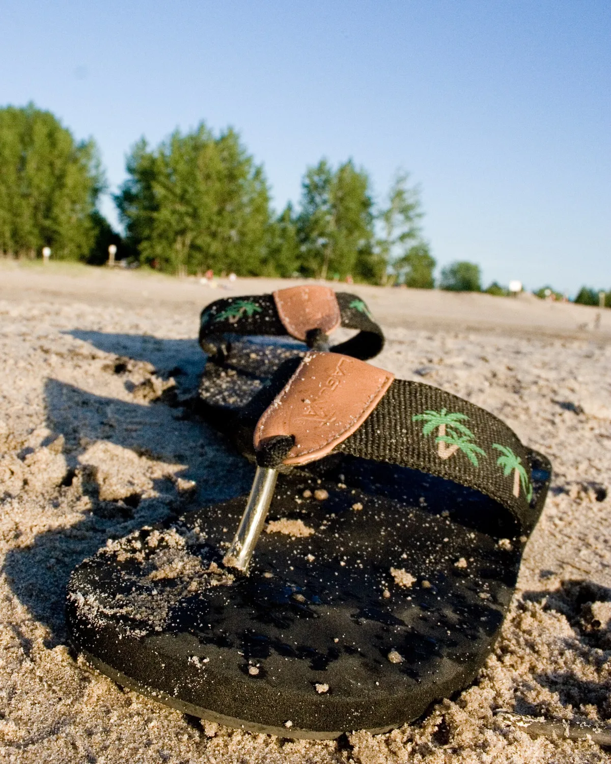 Beach Sandals and Water Shoes: What Actually Protects Your Feet