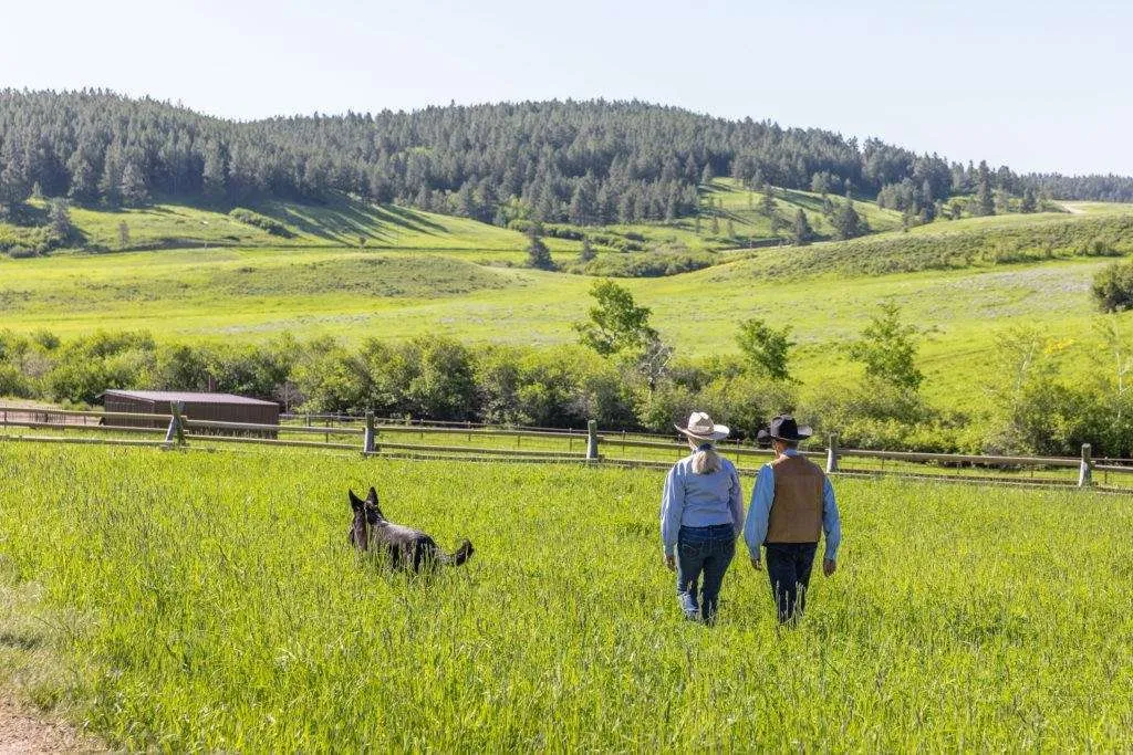 Man and woman in cowboy hats walking on Montana ranch with dog