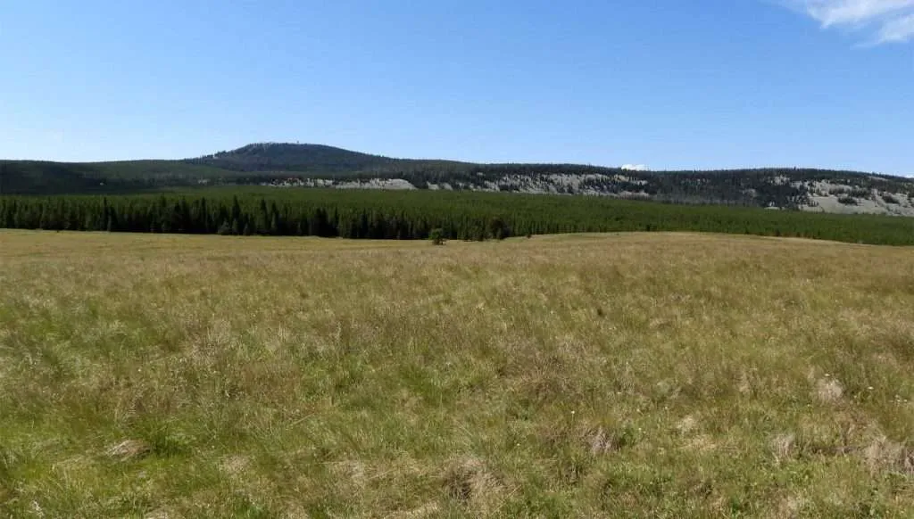 Western Ranch Brokers | O'Brien Park Mountain Camp