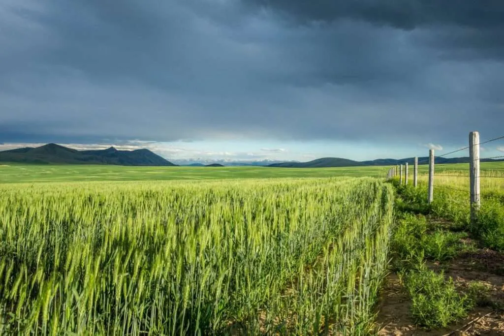 Rahn Silver Sage Ranch for sale in Montana