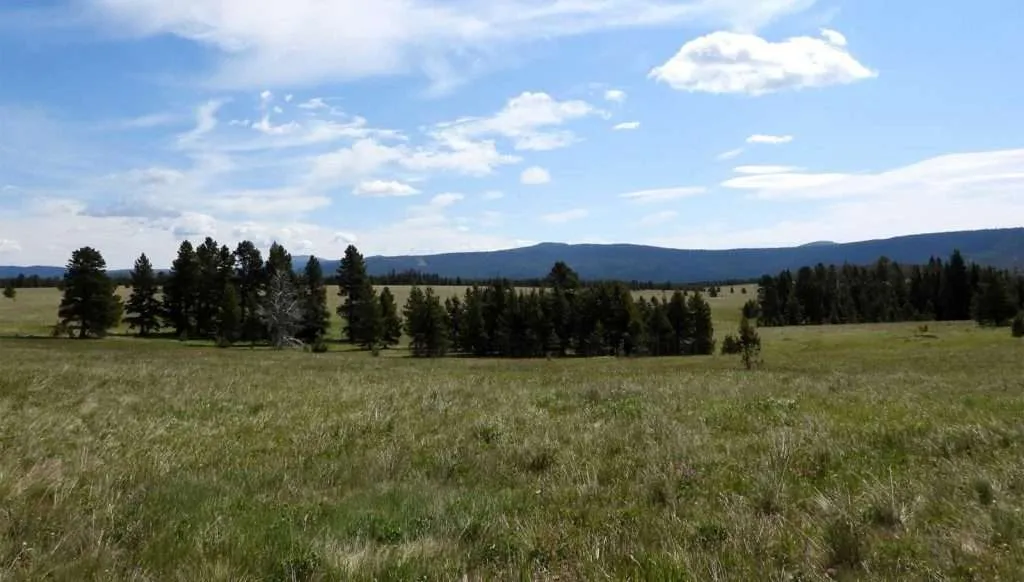 O'Brien Park Mountain Camp a Montana ranch sold by Western Ranch Brokers