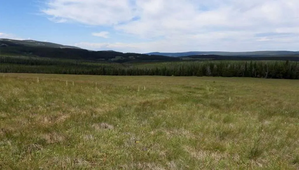 Western Ranch Brokers | O'Brien Park Mountain Camp