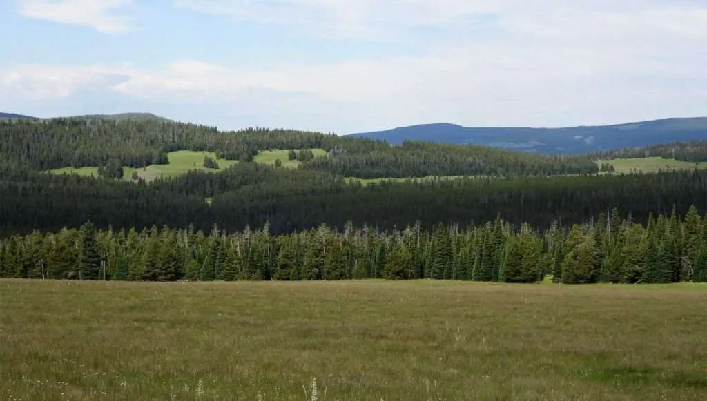 Western Ranch Brokers | O'Brien Park Mountain Camp