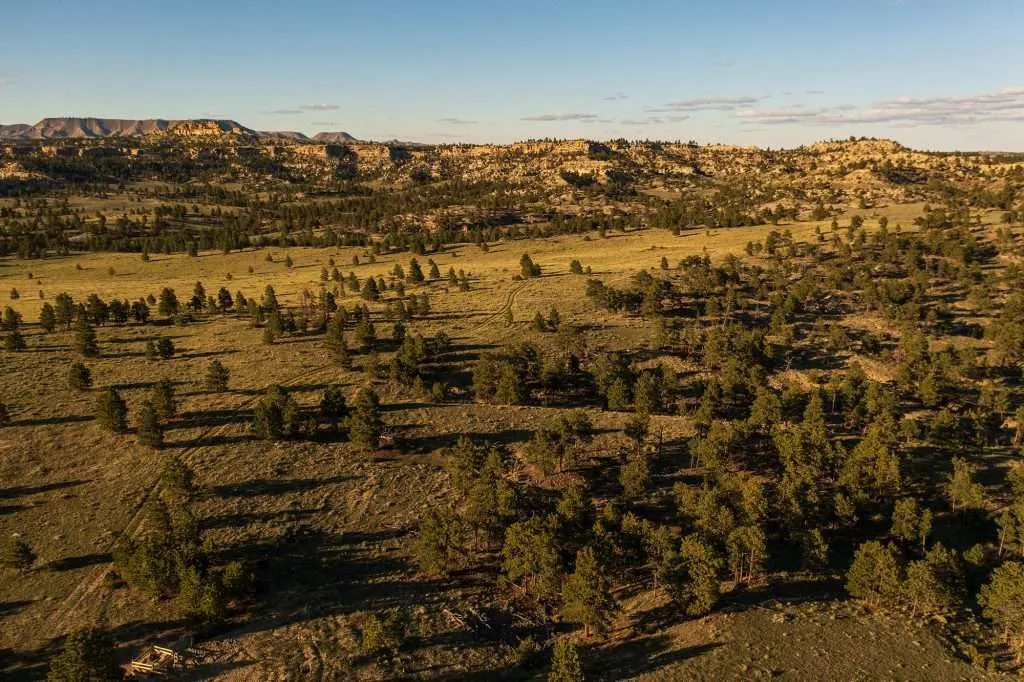 Landscape with rocky outcroppings and trees on a Montana ranch for sale