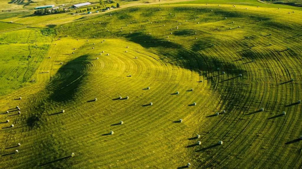 Western Ranch Brokers - Western Ranch Brokers