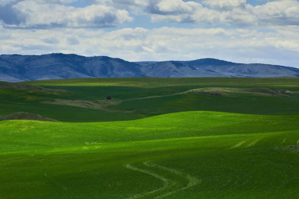 Western Ranch Brokers - Western Ranch Brokers