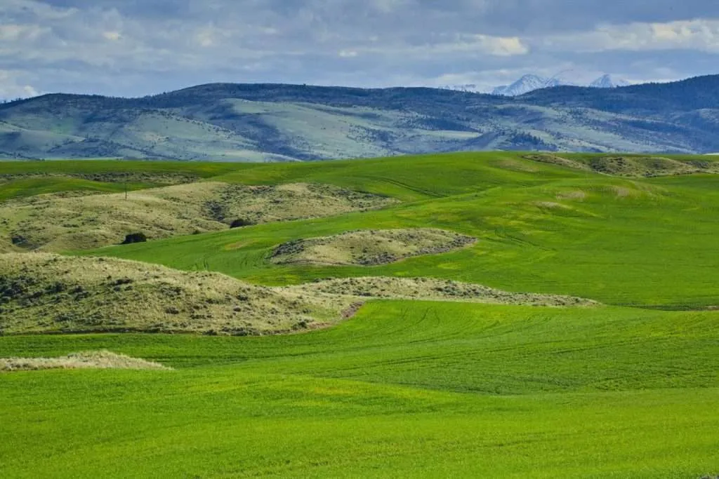 Western Ranch Brokers | Rahn Silver Sage Ranch