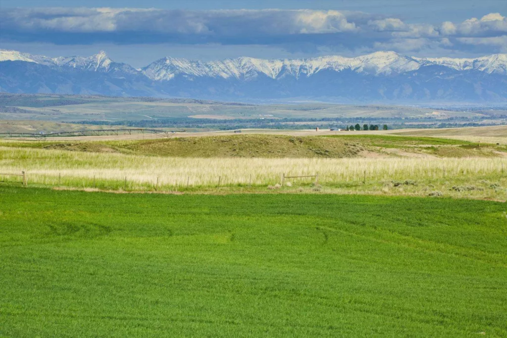 Western Ranch Brokers | Rahn Silver Sage Ranch