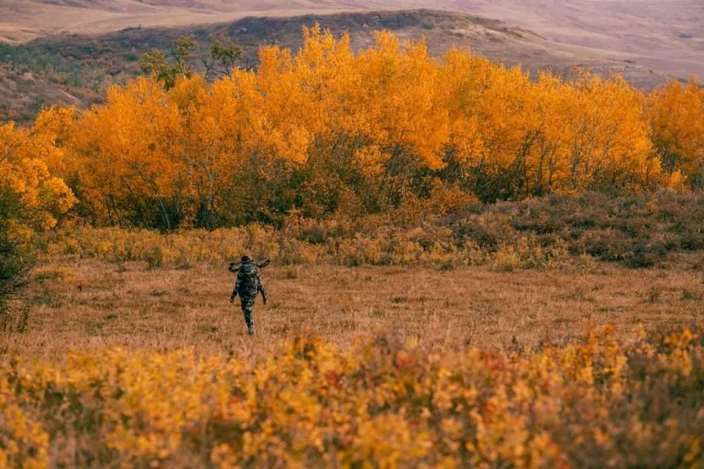 Averett-1739 (1) - Western Ranch Brokers Elk hunter with bow and arrow