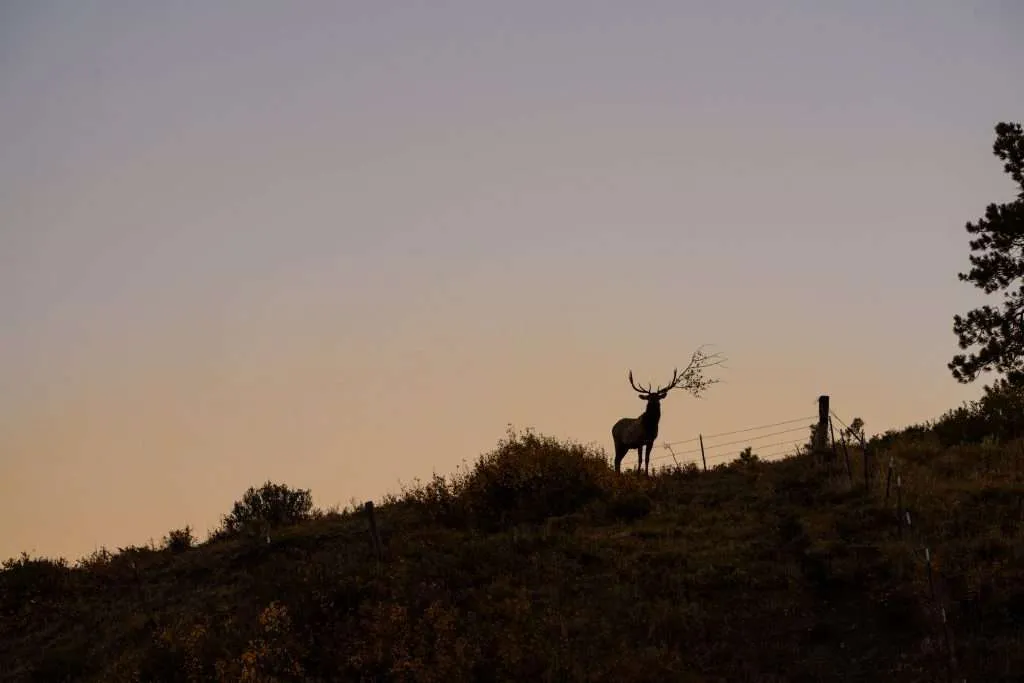 Western Ranch Brokers - Western Ranch Brokers