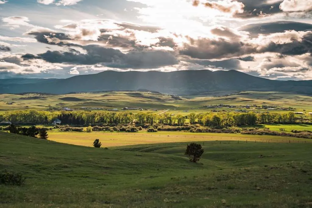 Western Ranch Brokers - Western Ranch Brokers