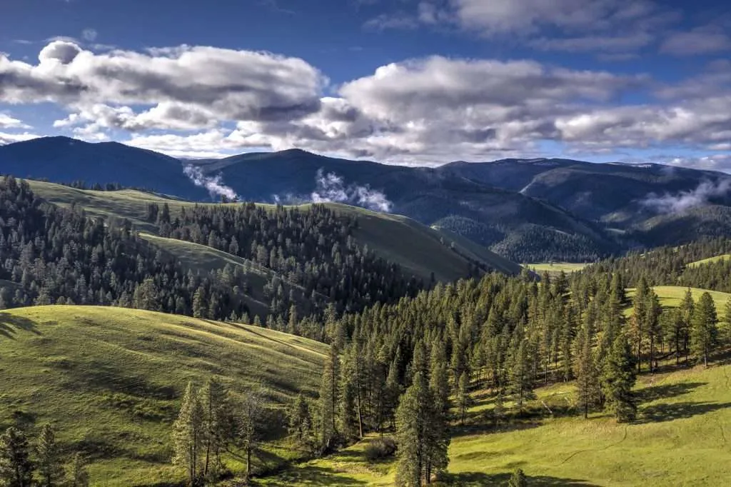 Western Ranch Brokers - Western Ranch Brokers