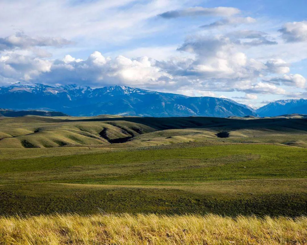 Western Ranch Brokers - Western Ranch Brokers