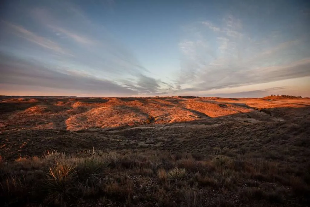 Western Ranch Brokers - Western Ranch Brokers