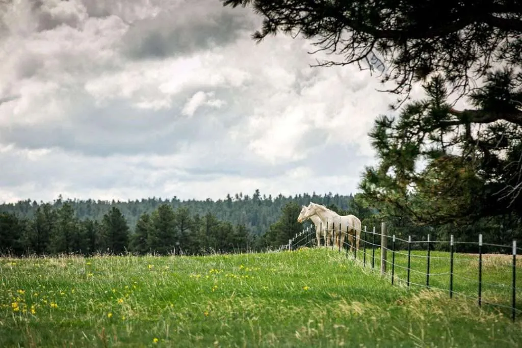 Western Ranch Brokers - Western Ranch Brokers