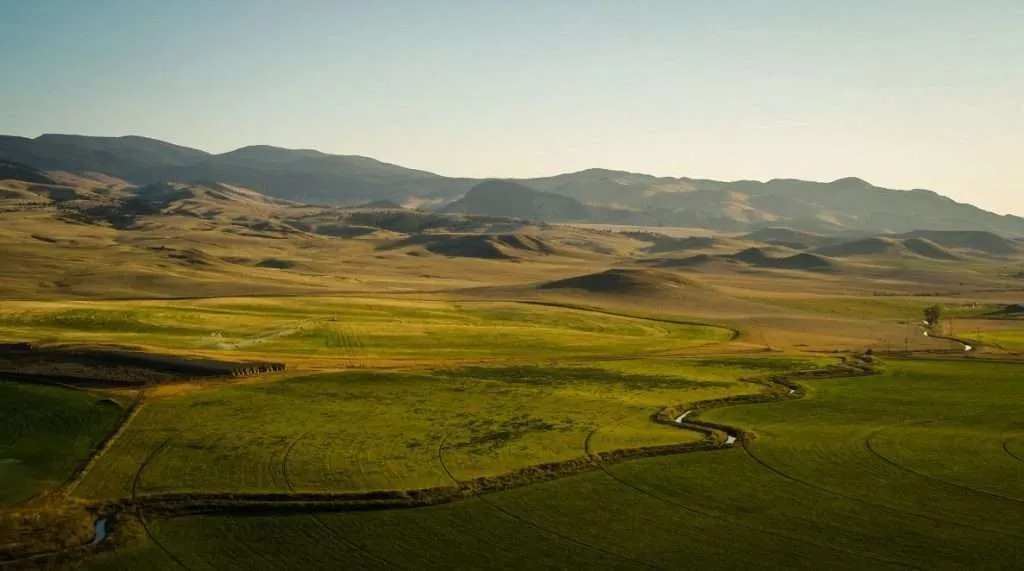 Western Ranch Brokers - Western Ranch Brokers