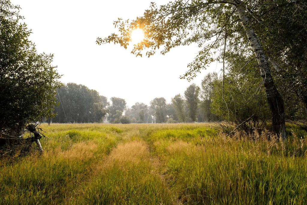 Riparian-Road - Western Ranch Brokers