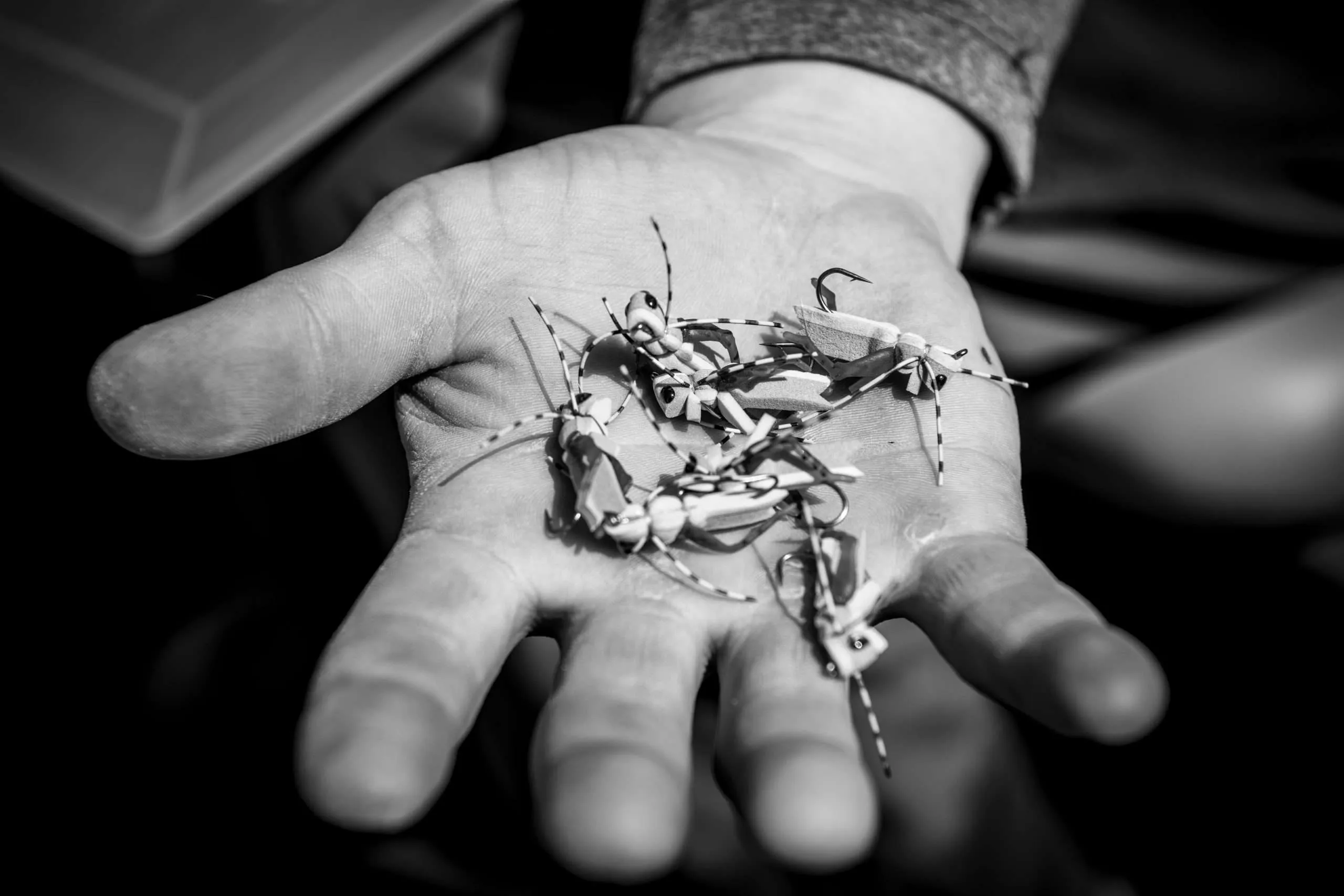 BGrossenbacher-3100 - Western Ranch Brokers Photography by Brian Grossenbacher for Western Ranch Brokers