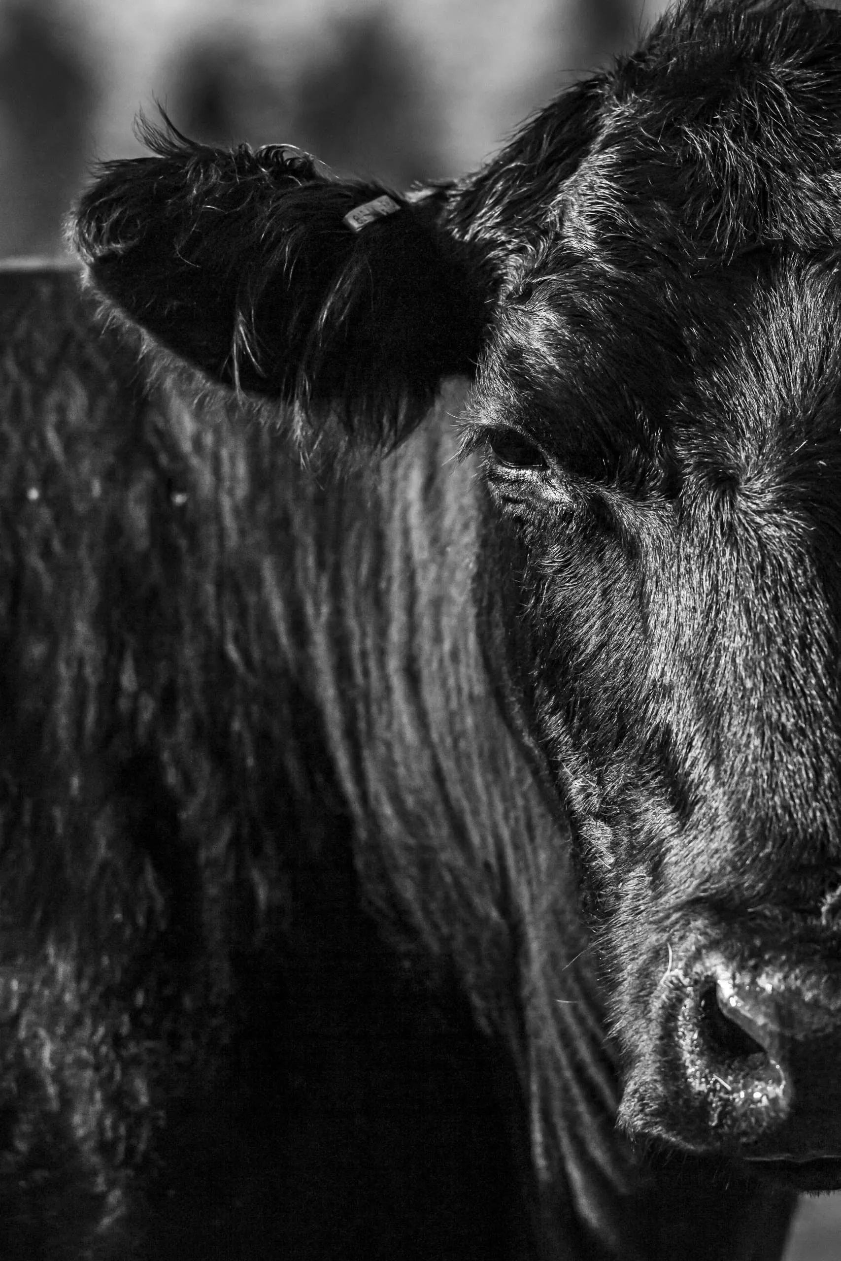 BGrossenbacher-9915 - Western Ranch Brokers Photography by Brian Grossenbacher for Western Ranch Brokers