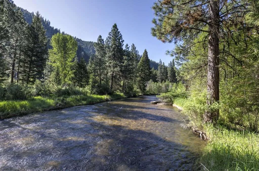 018-145WestMountain - Western Ranch Brokers Montana river running through forest