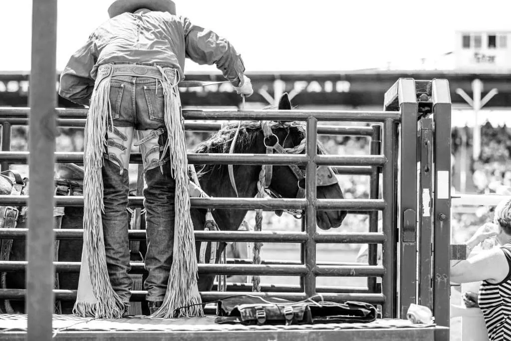 Western Ranch Brokers | Bucking Horse Sale - Western Ranch Brokers Western Ranch Brokers | Bucking Horse Sale