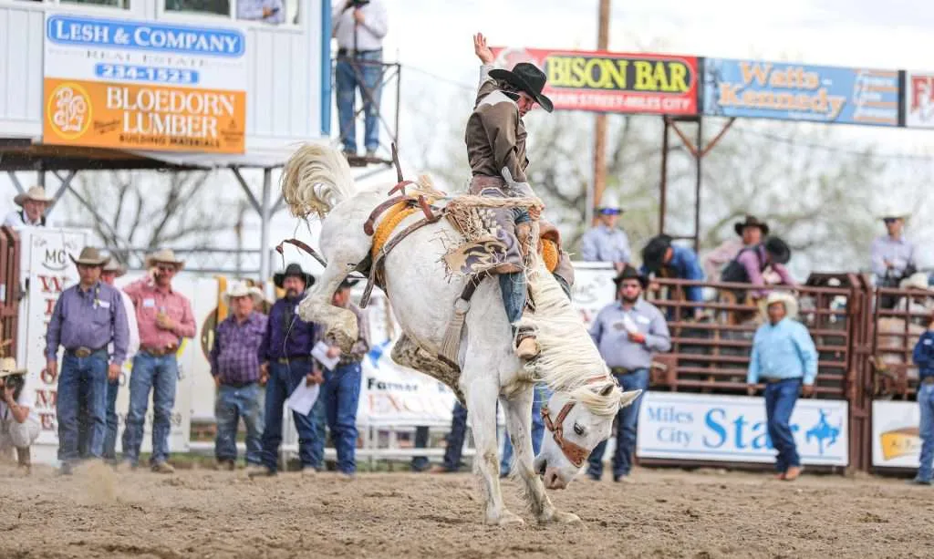 Western Ranch Brokers | Bucking Horse Sale - Western Ranch Brokers