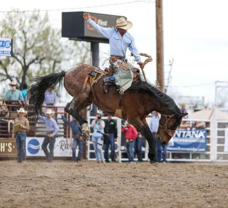 Photo courtesy of Horizon Marketing Agency.