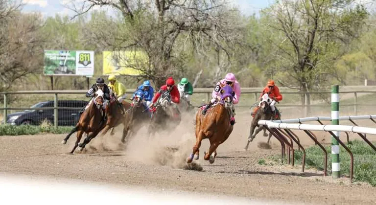 Photo courtesy of Horizon Marketing Agency.