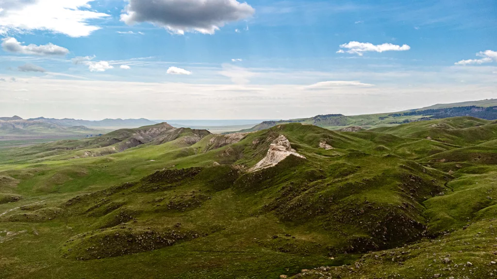 Western Ranch Brokers - Western Ranch Brokers