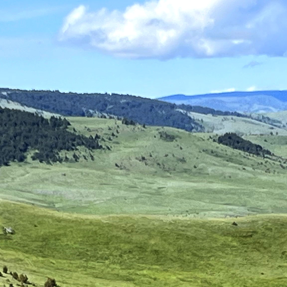 IMG_5987-test - Western Ranch Brokers