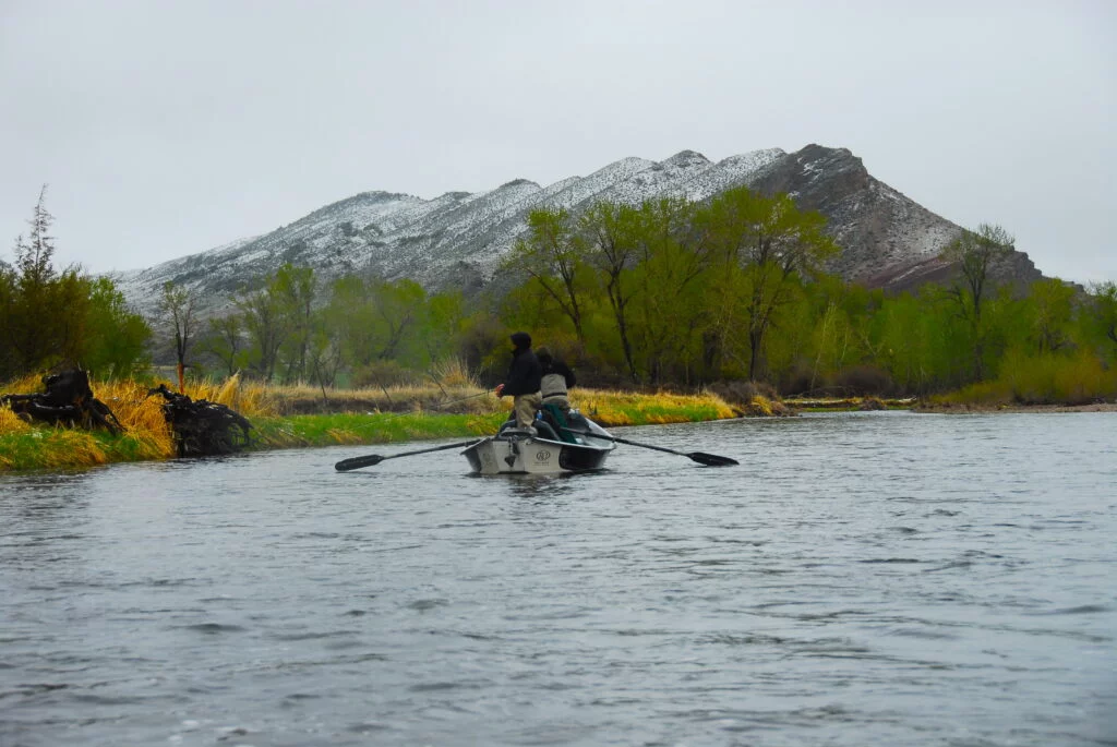 cTHOMAS 2006 - Western Ranch Brokers